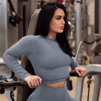 Grey Bum Bum Cropped Top (Thick Supplex)