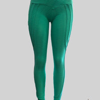 Fit In Shape Leggings (Scrunchy Supplex)