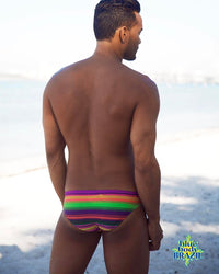 Multicolor Stripe Swim Brief