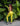 Lime Light Scrunch Butt Bodysuit