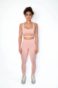 Blush Mesh Leggings